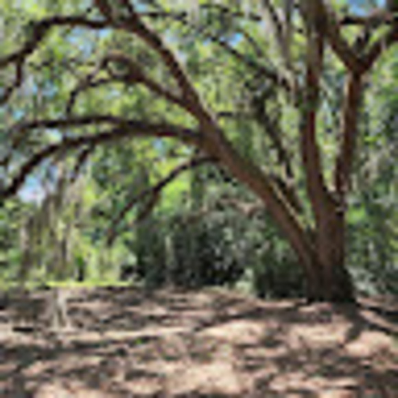 Meet your Posher, Anne - Picture 1 of 1